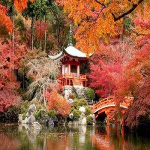 پارک ژاپنی کیوتو قونیه