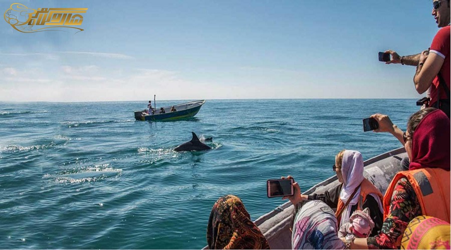 تور قشم زمینی