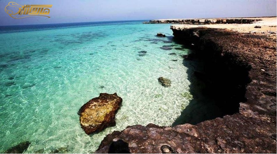ساحل مرجان در تور کیش
