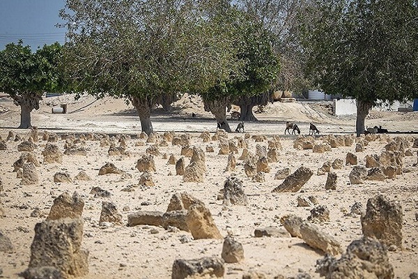 قبرستان و مسجد در جزیره هندورابی کیش