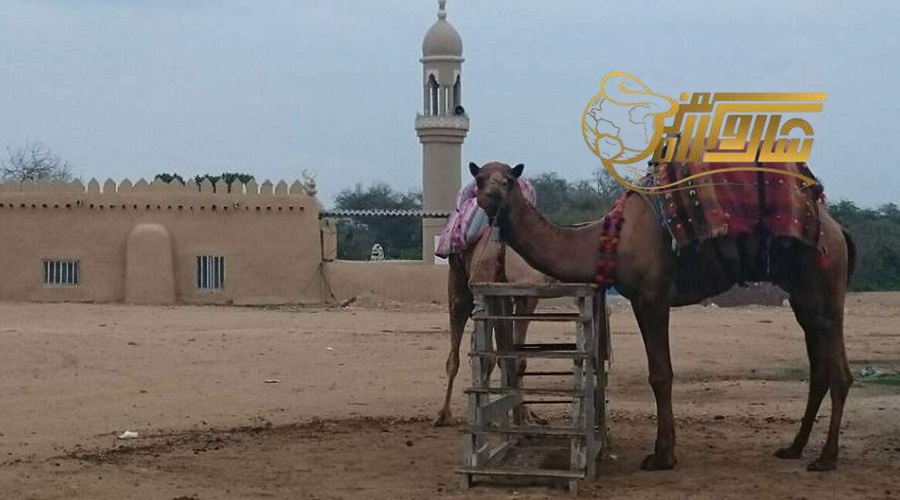 بازدید از روستای باغو در تور کیش مرداد 1405