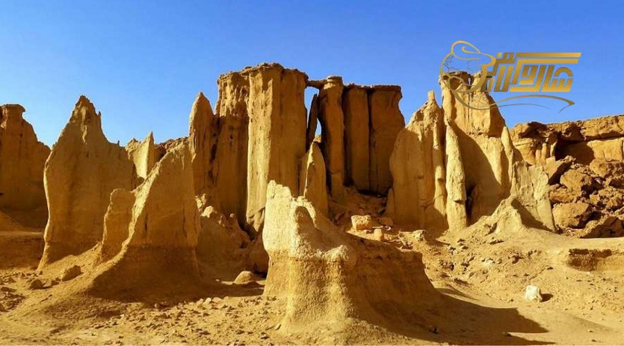 گشتهای محبوب تور قشم شهریور ۱۴۰۵