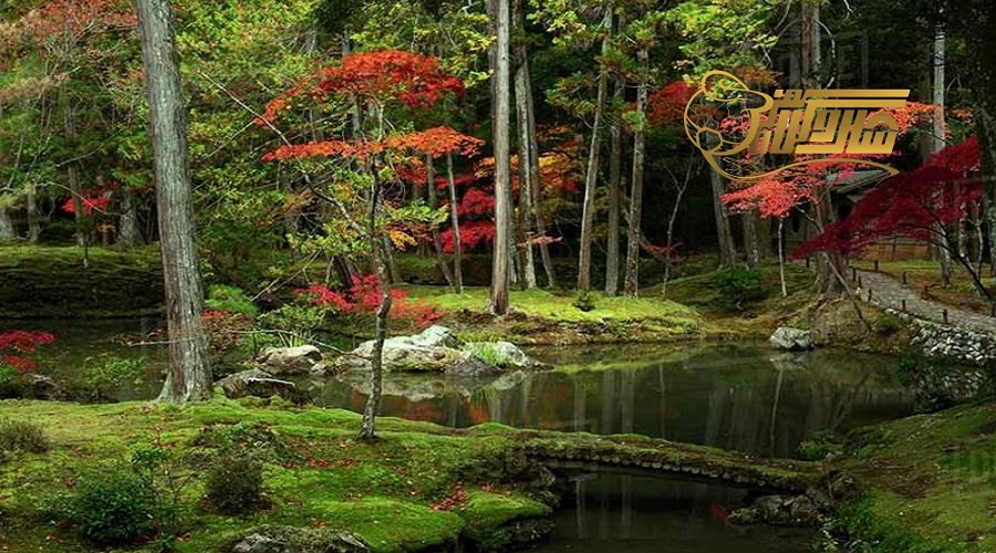 بازدید از پارک ژاپنی کیوتو در تور قونیه شهریور 1403