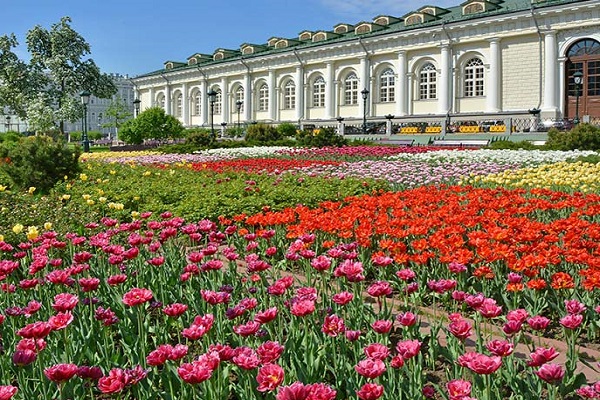 درباره باغ الکساندر مسکو