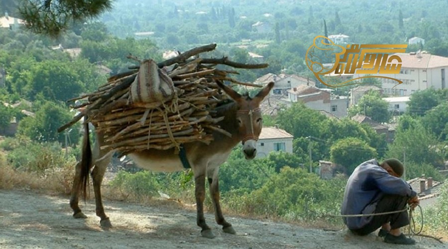 بازدید از روستای کرازلی در تور کوش آداسی تیر 1405