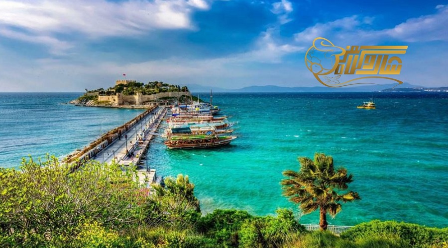کوش آداسی تیر