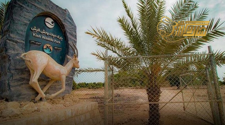 بازدید از بوستان آهوان در تور کیش تیر 1405