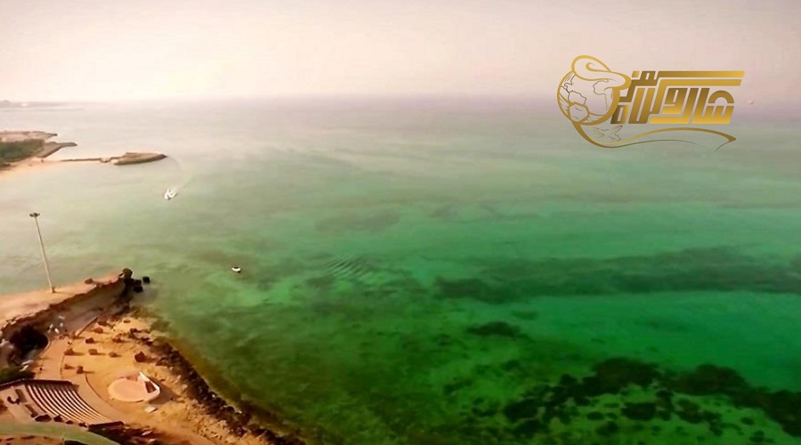 رفتن به ساحل مرجان در تور کیش تیر 1405