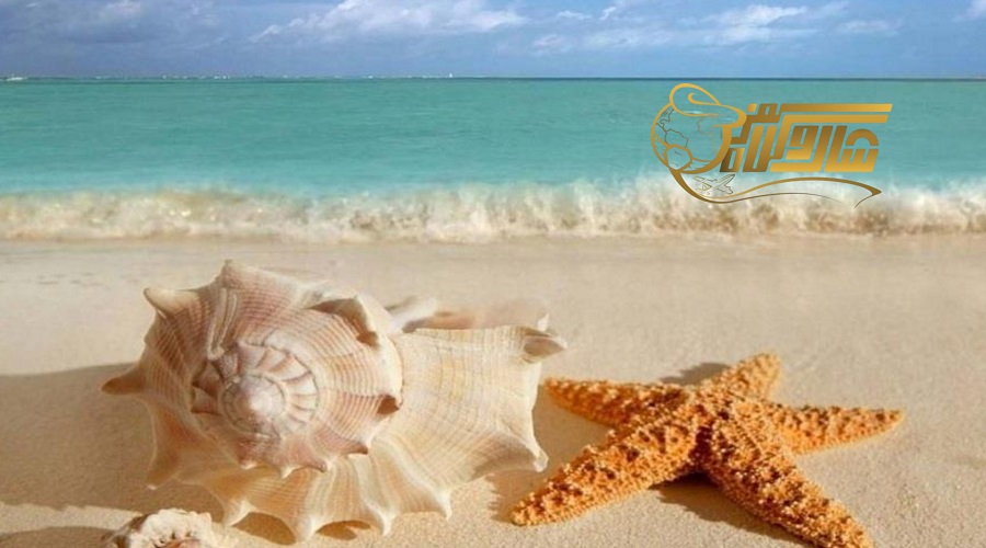 عید نوروز و شنا در جزیره زیبای قشم؛ تفریح آبی فراموش‌نشدنی ð️✨