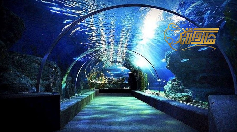 بازدید از آکواریوم سی لایف در تور بانکوک آذر ۱۴۰۴ ð ð