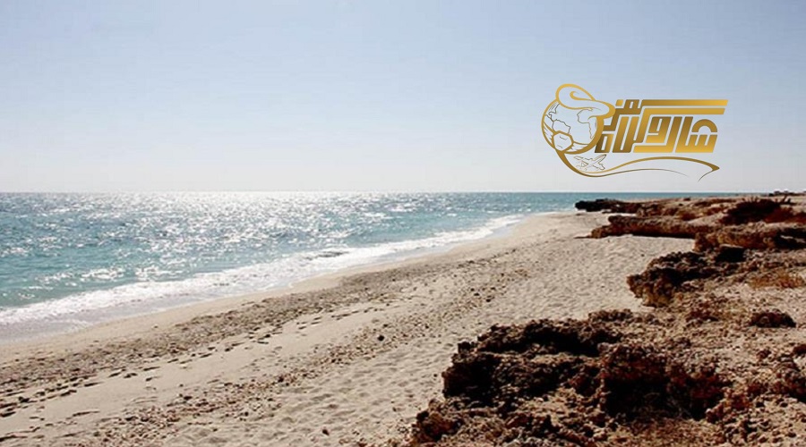 گشت و گذار در ساحل مرجان در تور کیش دی ۱۴۰۴ ðð´‍♂️