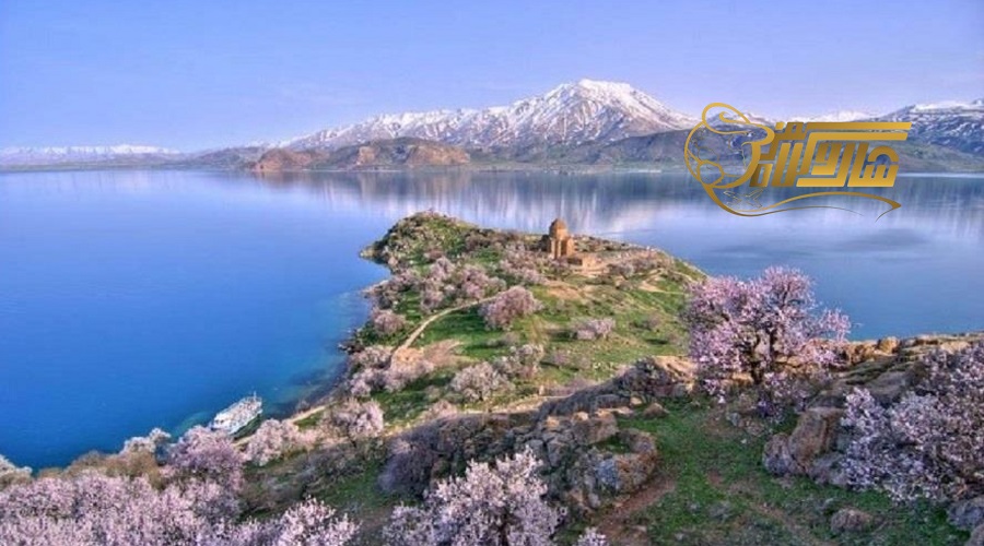 وان دی
