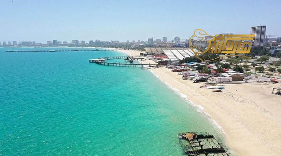 کیش دی