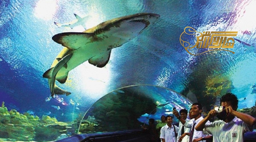 بازدید از آکواریوم سی لایف بانکوک ð ð
