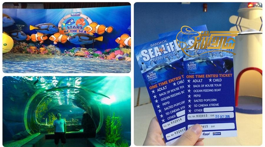بازدید از آکواریوم سی لایف در تور بانکوک نوروز ۱۴۰۵ ð ð