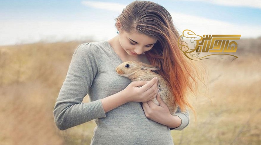 بازدید از جزیره خرگوش در تور بدروم بهمن ۱۴۰۴ ðð