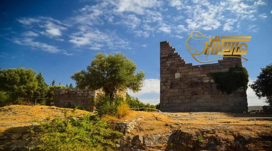 بازدید از دروازه میندوس در تور بدروم بهمن ۱۴۰۴ ð°ð