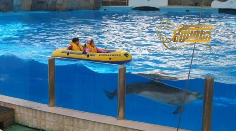 رفتن به پارک دلفین‌ها در تور مارماریس بهمن ۱۴۰۴ ð¬ð