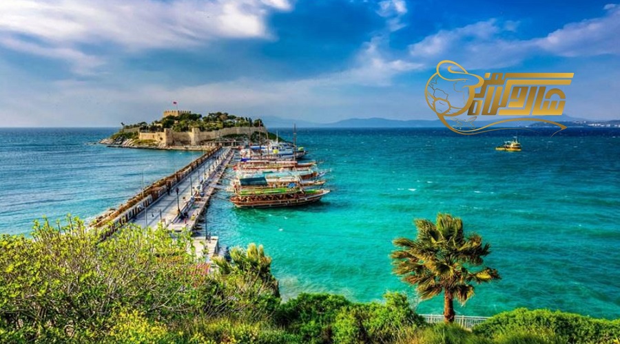 کوش آداسی بهمن