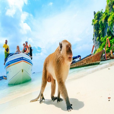 ساحل میمون تایلند