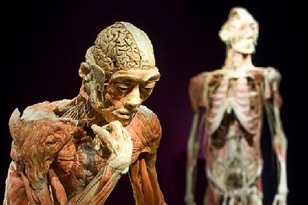 موزه پزشکی سیریراج