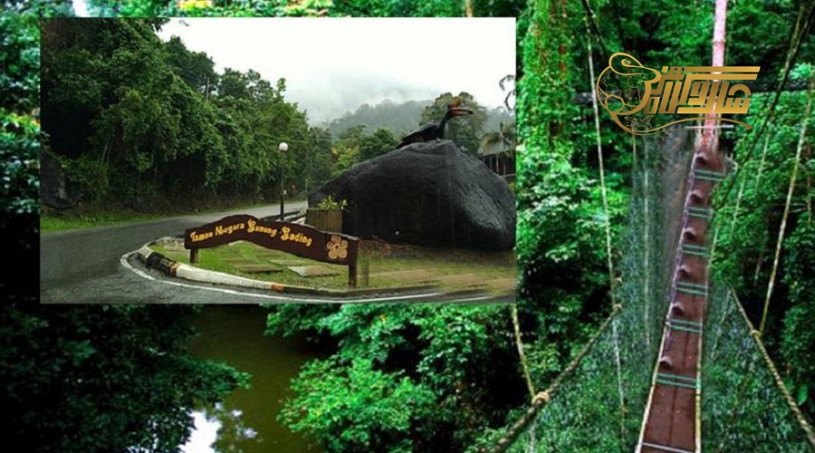 بازدید از پارک ملی گونونگ گادینگ در تور مالزی بهمن 1402