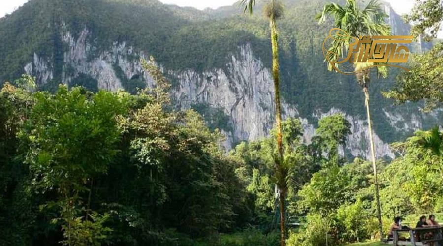 بازدید از پارک ملی گونونگ گادینگ در تور مالزی دی 1403