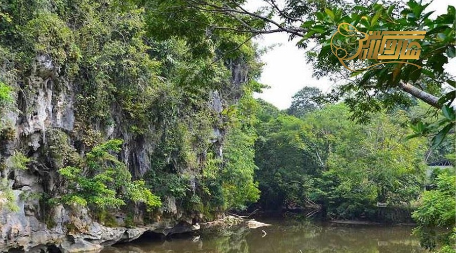 بازدید از پارک ملی گونونگ گادینگ در تور مالزی پاییز 1403