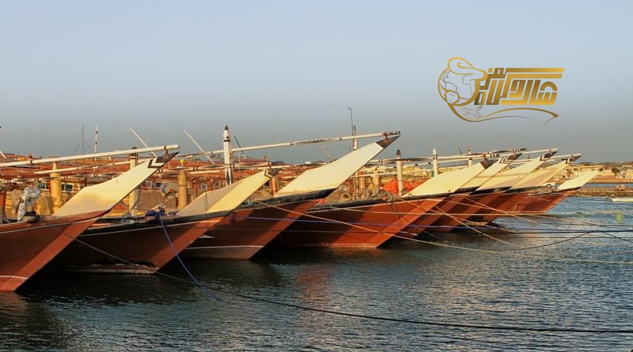 بازدید از جزیره مصیره در تور عمان نوروز ۱۴۰۵؛ بهشت بکر عمان ð