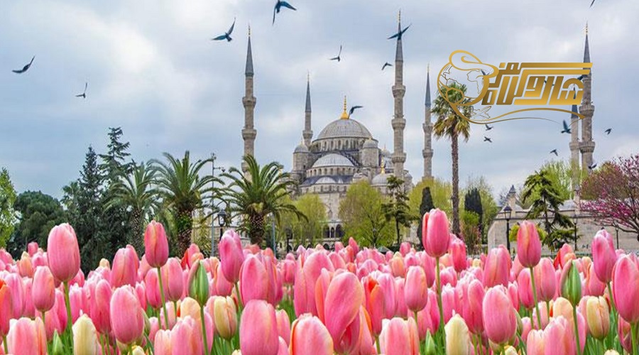 قیمت تور استانبول فروردین ۱۴۰۵؛ چه عواملی هزینهها را تعیین میکنند؟