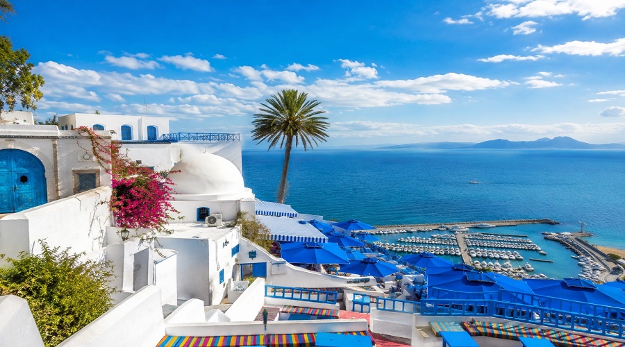 شهر آبی و سفید سیدی بوسعید (Sidi Bou Said)